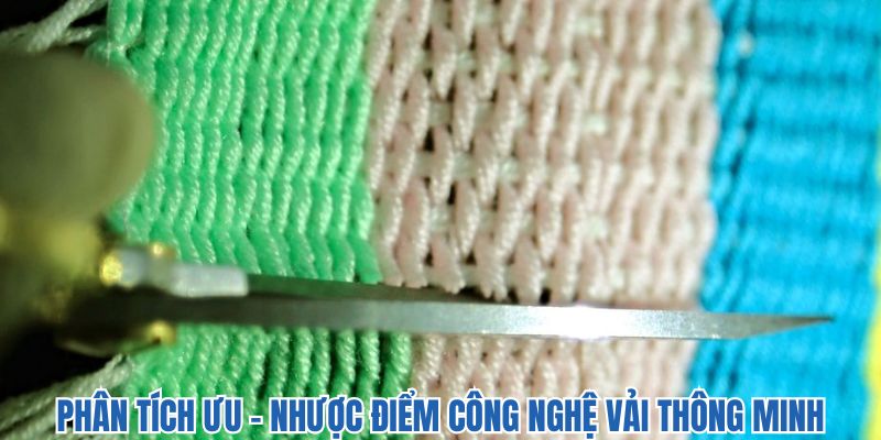 Review khách quan về vải hiện đại