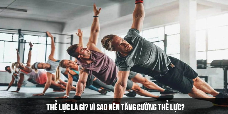 Thể lực là yếu tố cần thiết trong mọi hoạt động