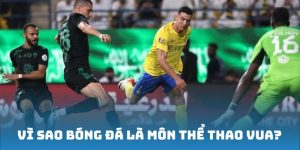 Vì sao bóng đá là môn thể thao vua