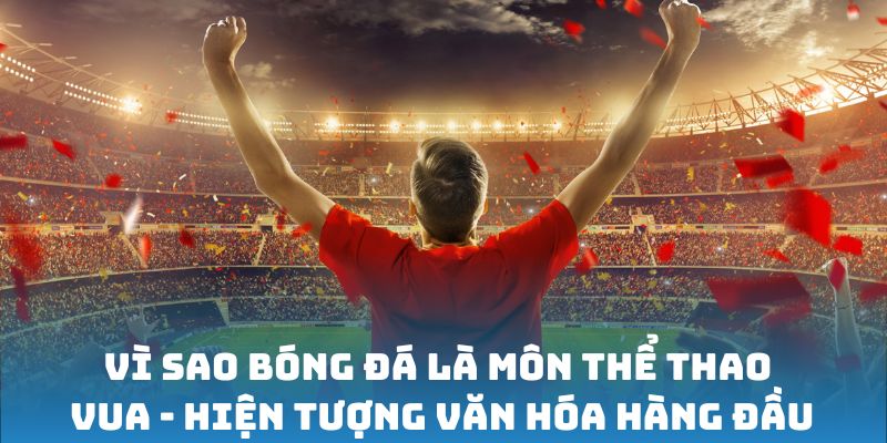 Vì sao bóng đá là môn thể thao vua - Hiện tượng văn hóa hàng đầu
