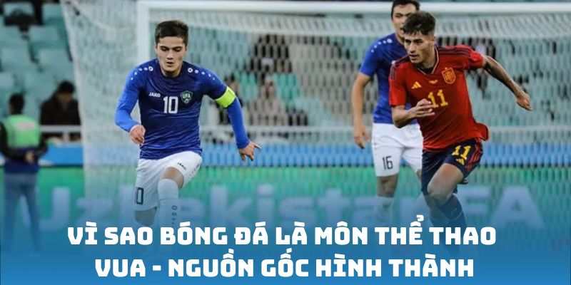 Vì sao bóng đá là môn thể thao vua - Nguồn gốc hình thành